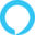 Alexa Developer
