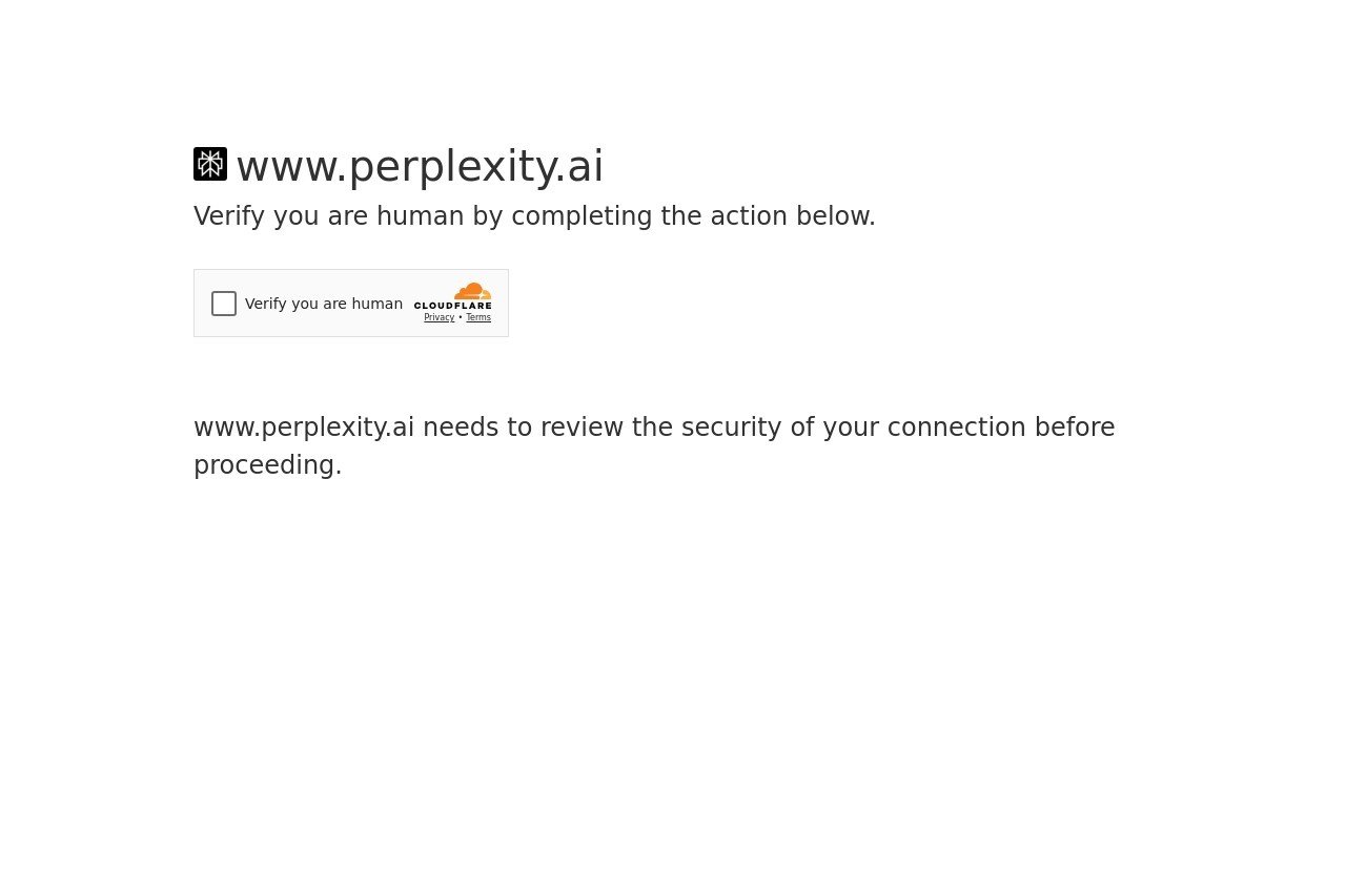 Perplexity